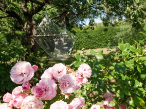 Garten in Steffis kleiner Pension Bad Bramstedt
