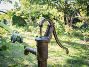 Garten in Steffis kleine Pension